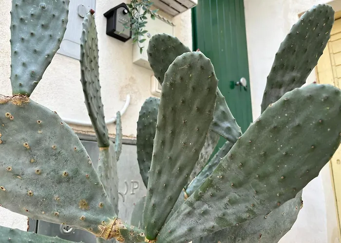 Casa Ostuni Mono Lovely